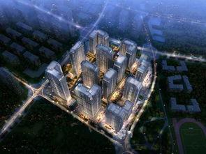 昆明海豚湾爆料视频大全,揭秘幕后真相与精彩瞬间 第3张 昆明海豚湾爆料视频大全,揭秘幕后真相与精彩瞬间 第3张