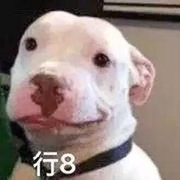 娱乐圈吃瓜公众号微信,揭秘那些不为人知的幕后故事! 第1张 娱乐圈吃瓜公众号微信,揭秘那些不为人知的幕后故事! 第1张